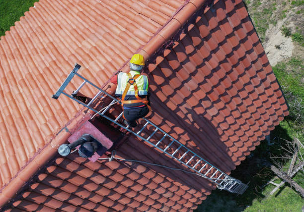 Best Roof Moss and Algae Removal  in Wildwood, FL